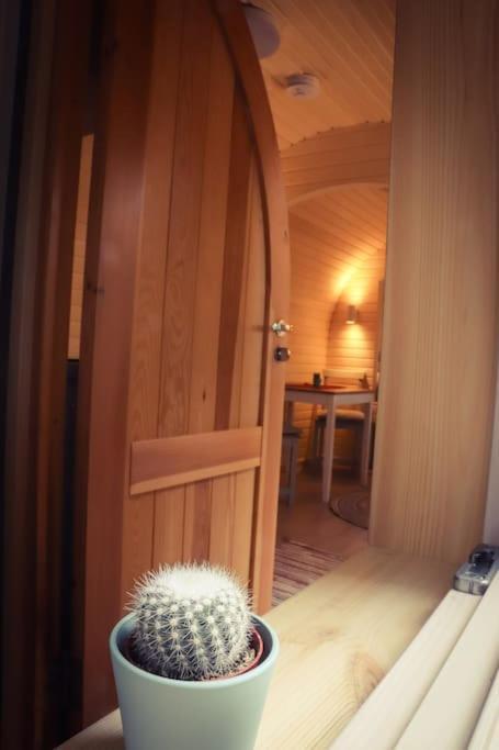 Tiny House Kotten Kunterbunt Nottuln Exterior foto